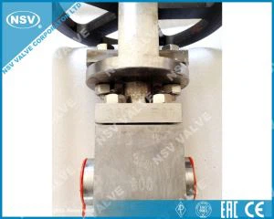 Задвижка титановая F21