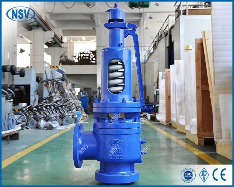 WCB Spring Safety Valve factory