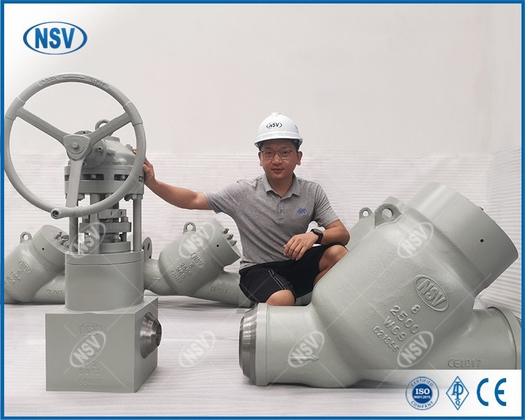 Open Die Forged Globe Valve factory